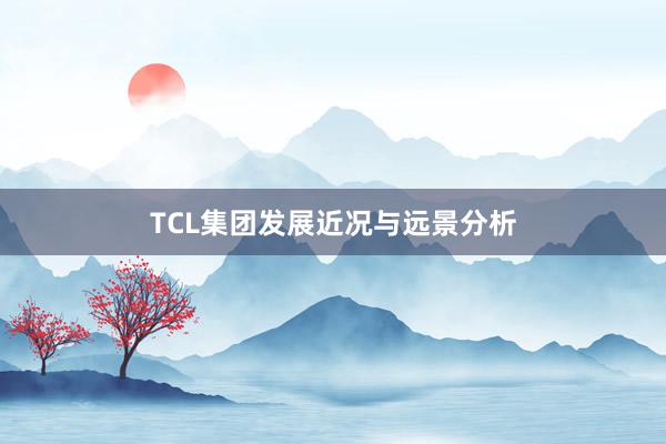 TCL集团发展近况与远景分析